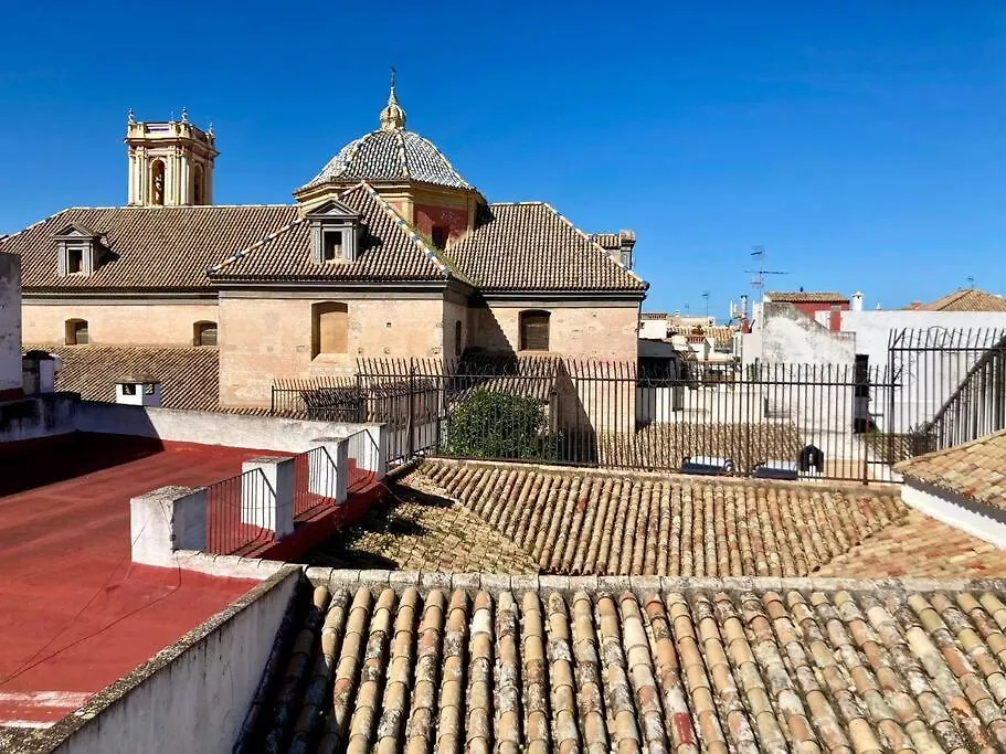 Apartment Atico Con Gran Terraza Privada - Cozyhomesevilla8